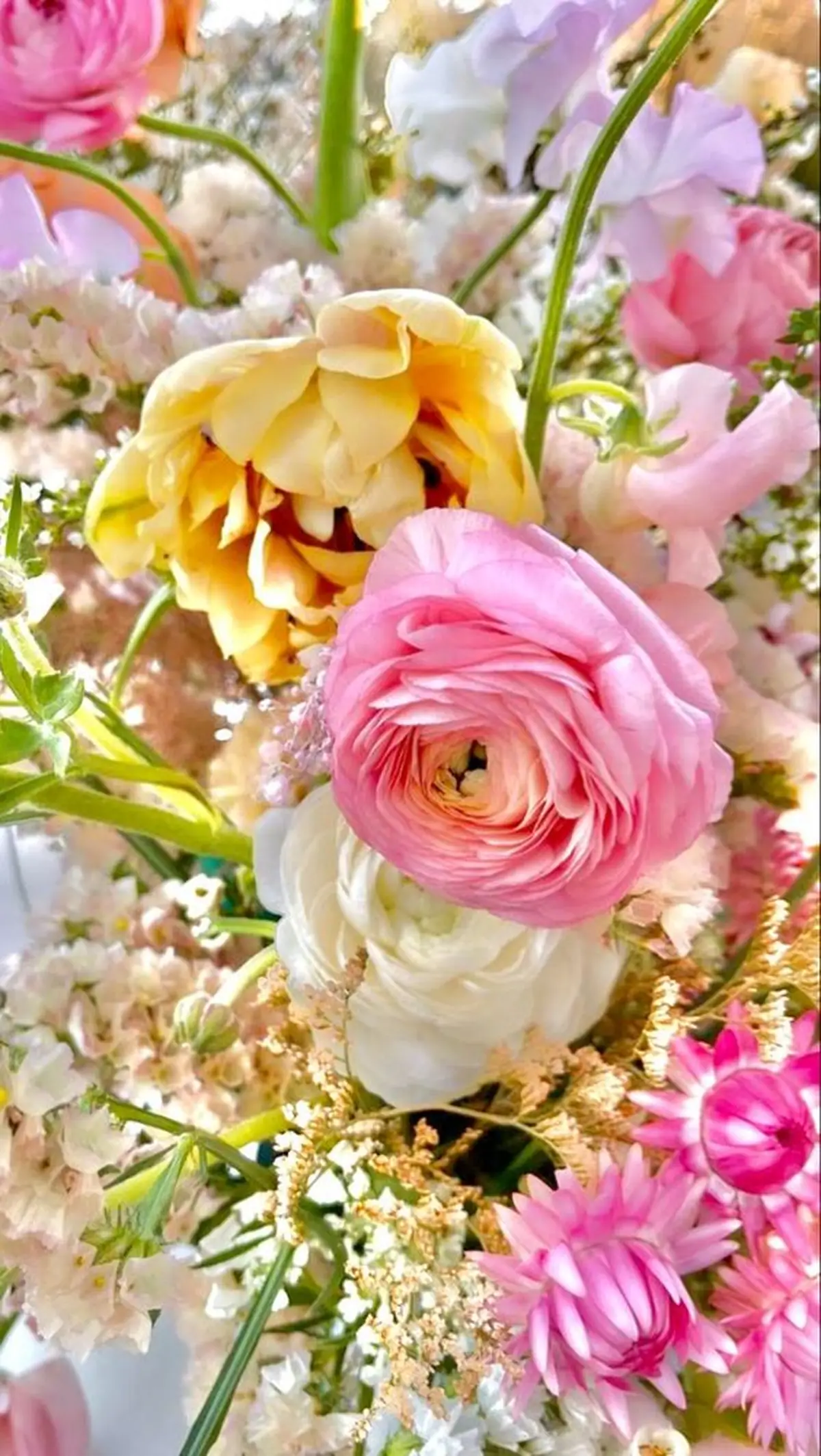 مناظر زیبای بهار