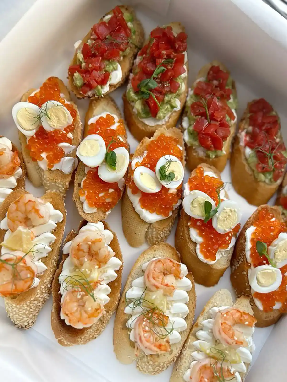 فینگر فود برای تولد بزرگسال طرز تهیه فینگر فود برای تولد فینگر فود سرد برای تولد فینگر فود سرد برای مهمانی فینگر فود ساده فینگر فود برای مهمانی طرز تهیه فینگر فود ساده و کم هزینه فینگر فود برای تولد بچه ها