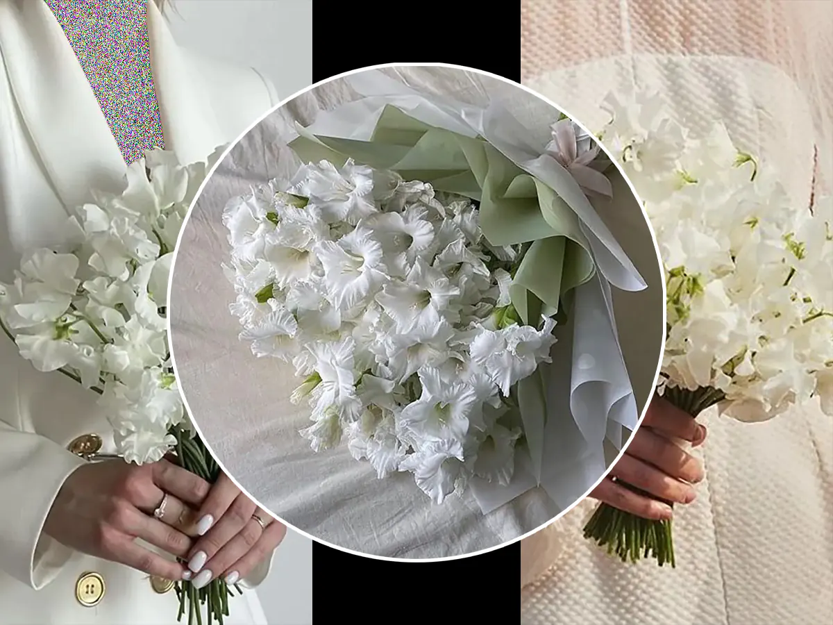 دسته گل ساده و شیک دسته گل رز سفید ساده دسته گل سفید برای تولد دسته گل کوچک برای هدیه دسته گل سفید عروس دسته گل هدیه