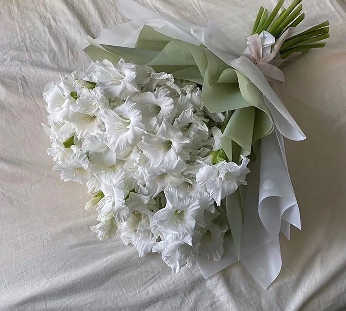 دسته گل ساده و شیک دسته گل رز سفید ساده دسته گل سفید برای تولد دسته گل کوچک برای هدیه دسته گل سفید عروس دسته گل هدیه