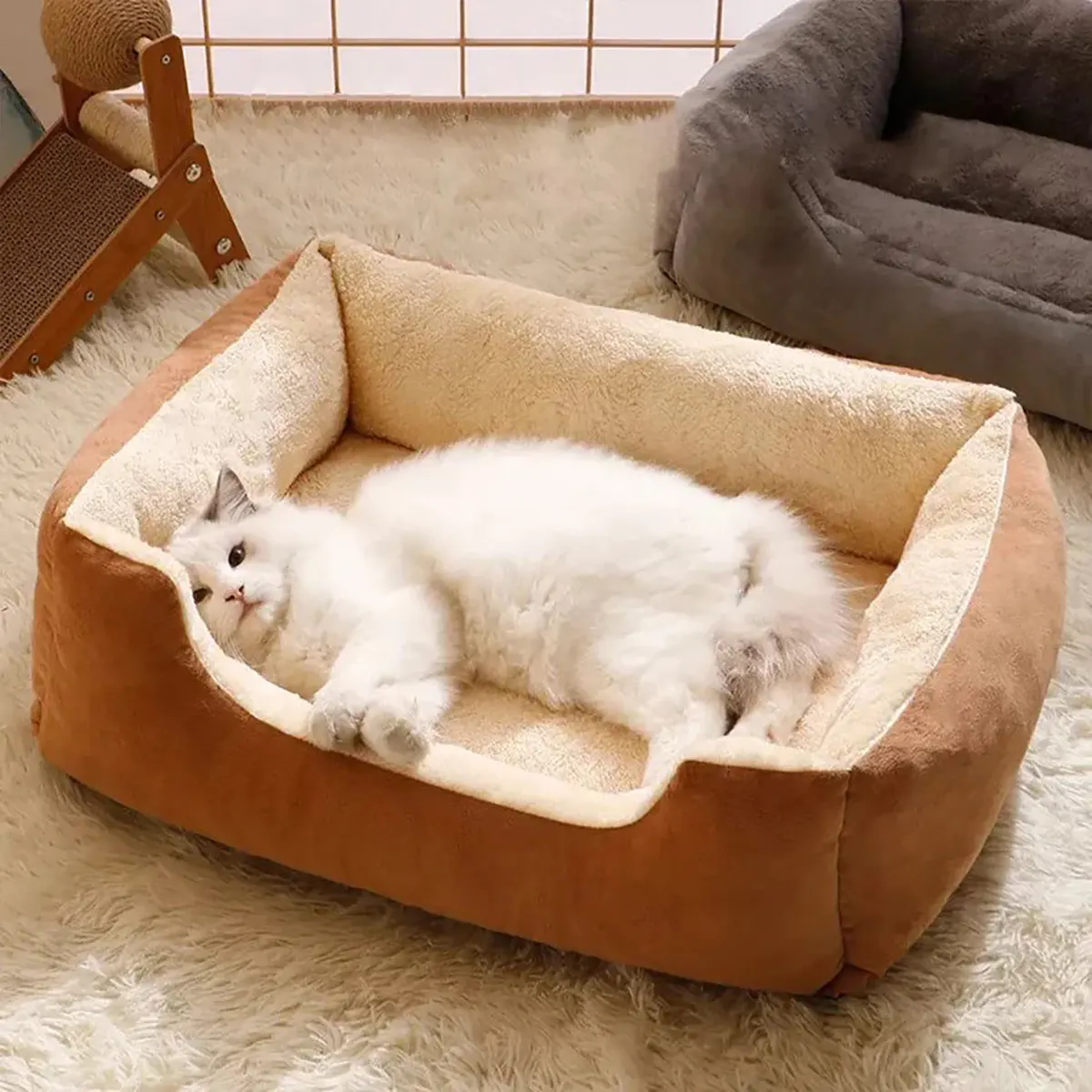 تخت خواب گربه دیجی کالا
