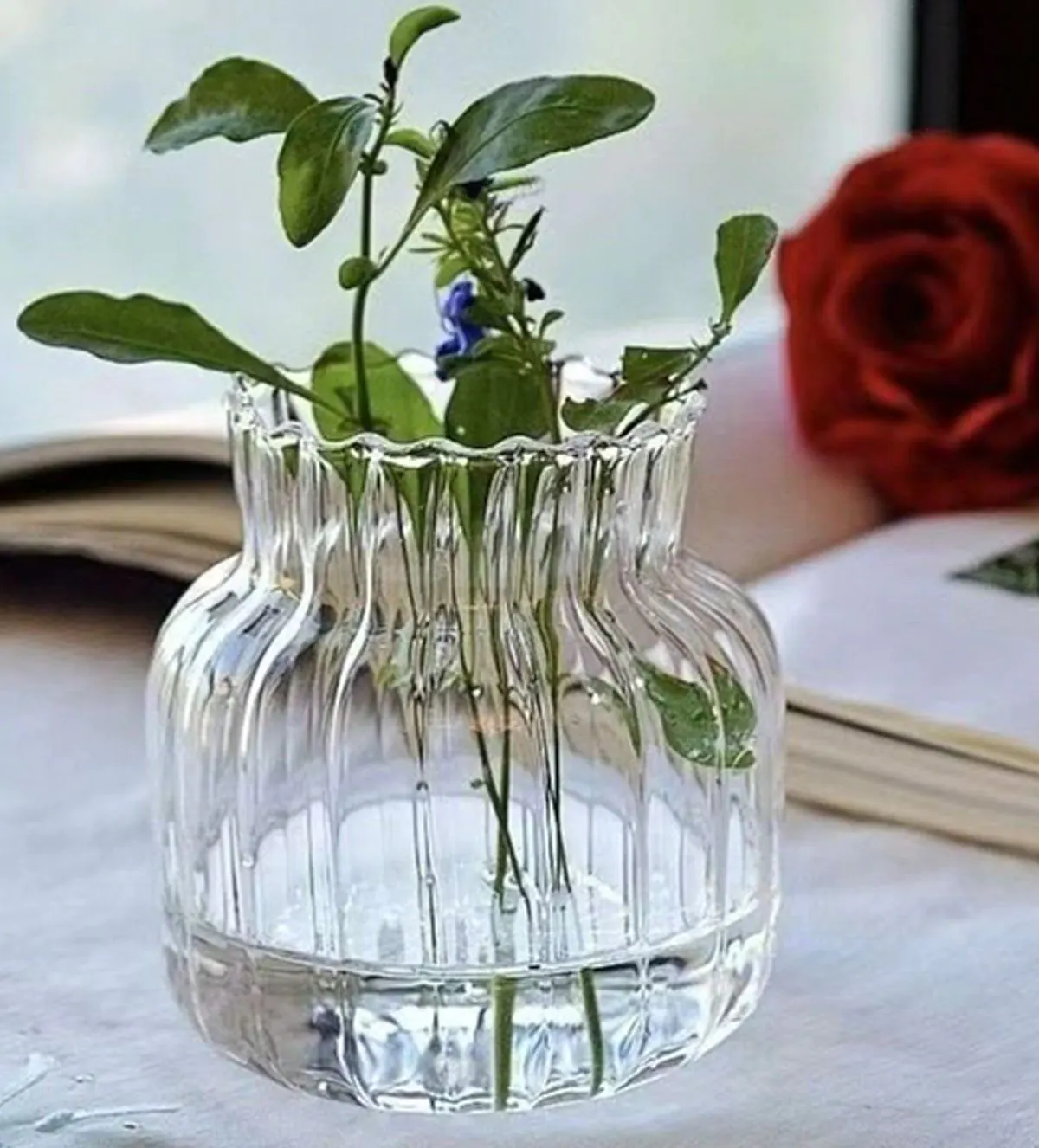 گلدان شیشه ای جدید