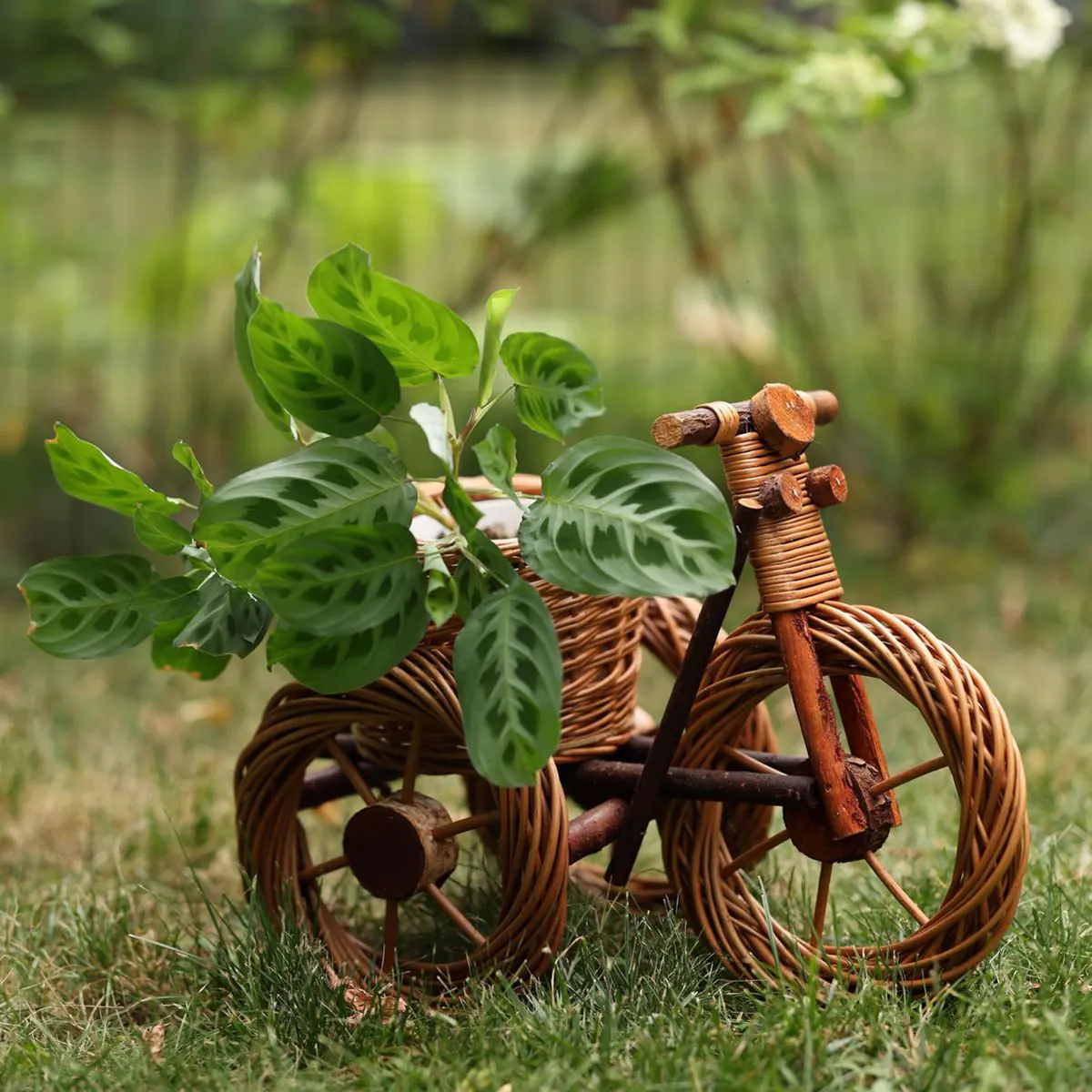 مرکز فروش گلدان حصیری