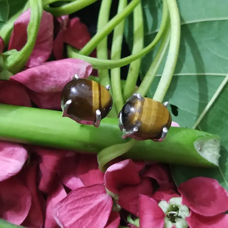 گوشواره میخی نقره با سنگ چشم ببر