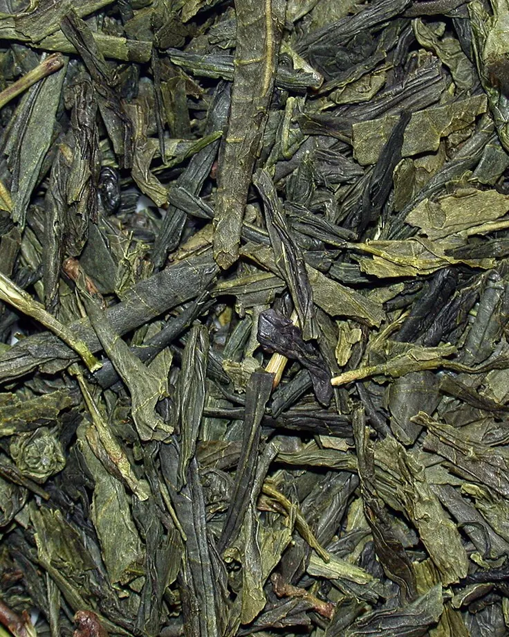 نزدیکنمای برگ چای سبز تیره