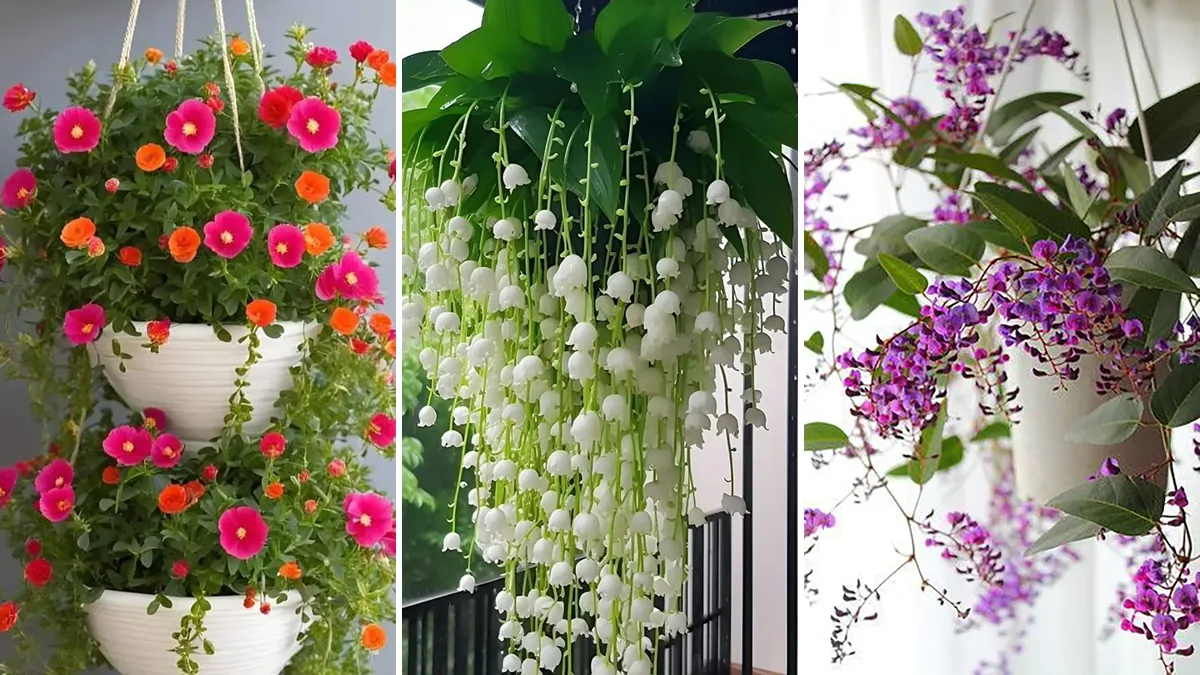 کلاژ آویز گل سقفی؛ گلدان آویز با گل‌های رنگی برای خانه