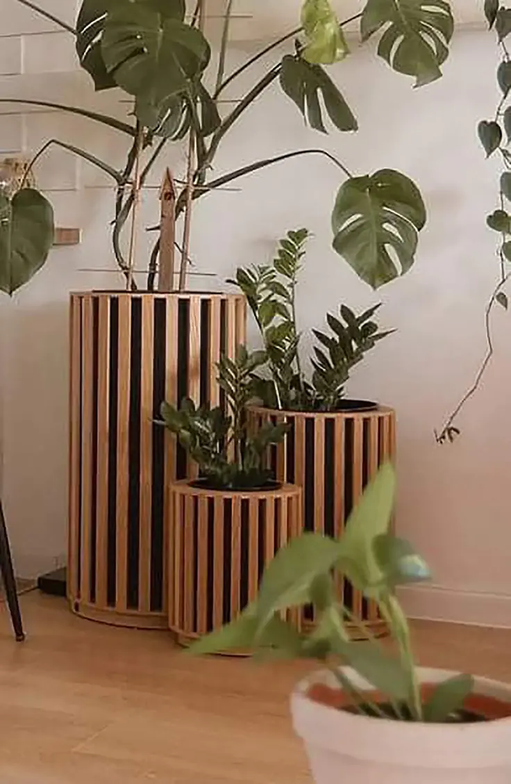 گلدان کف‌ای چوبی بلند با گیاه سبز برای پذیرایی