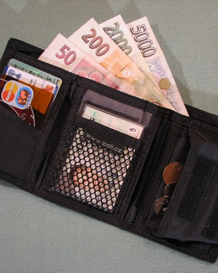 کیف پول کوتاه باز شده با جیب کارت و اسکناس